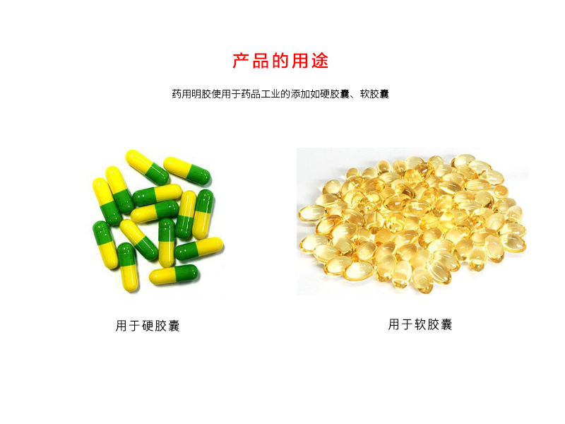 銀河生物科技